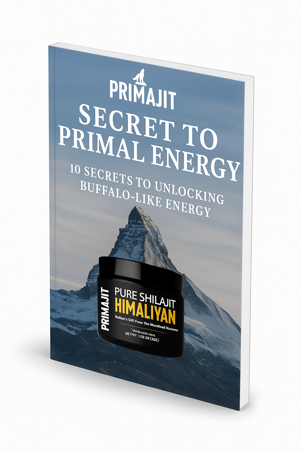 E-Book "Secrets to Primal Energy"
